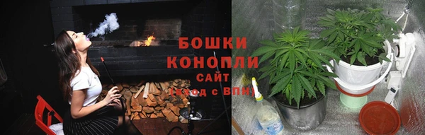 a pvp Новозыбков