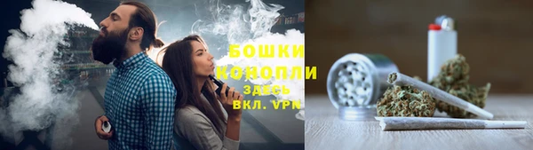 соль ск Новодвинск