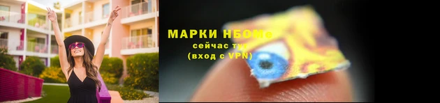 a pvp Новозыбков