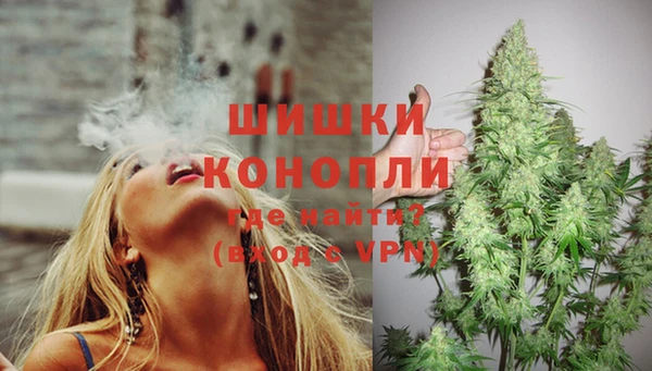 a pvp Новозыбков