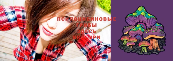 a pvp Новозыбков