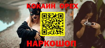 кокс Кингисепп
