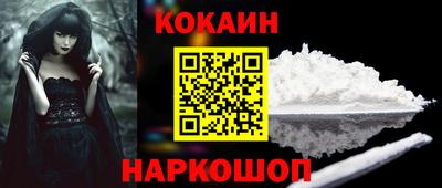 кокс Кингисепп