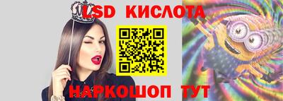 кокс Кингисепп