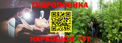 кокс Кингисепп