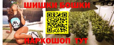 кокс Кингисепп
