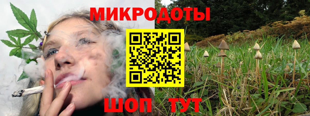 как найти   Вход с VPN  Муром  Псилоцибиновые грибы мицелий 