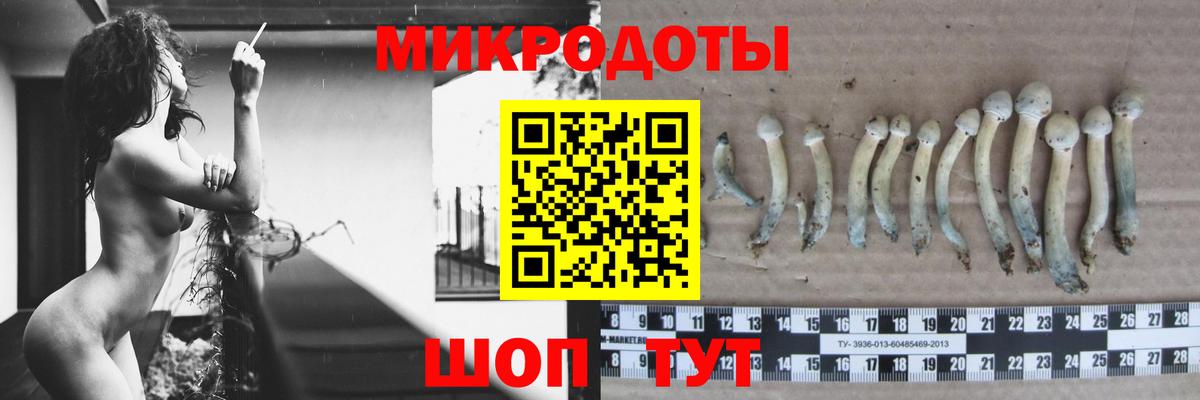 Псилоцибиновые грибы ЛСД Муром