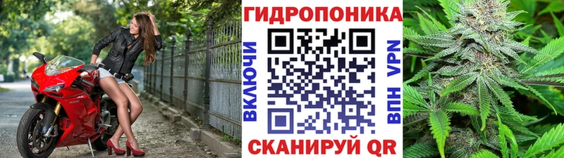 Каннабис план Муром