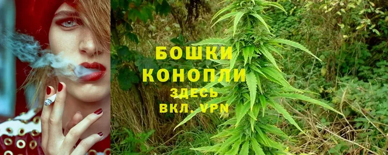 Конопля THC 21%  Муром 